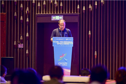 2019中国—东盟汇商聚智高峰论坛 ——广西铝产业与人才研讨会在南宁举行